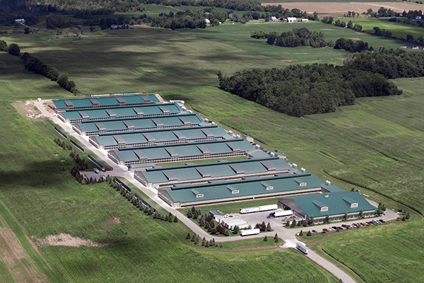 Máquina Transportadora Shaoxing Inc.